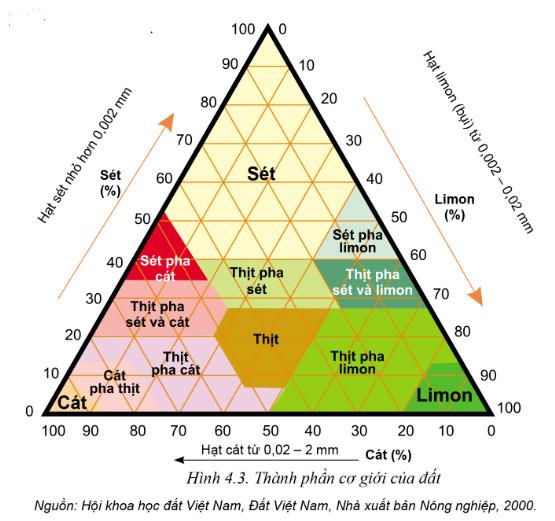 Thành phần cơ giới của đất là gì?